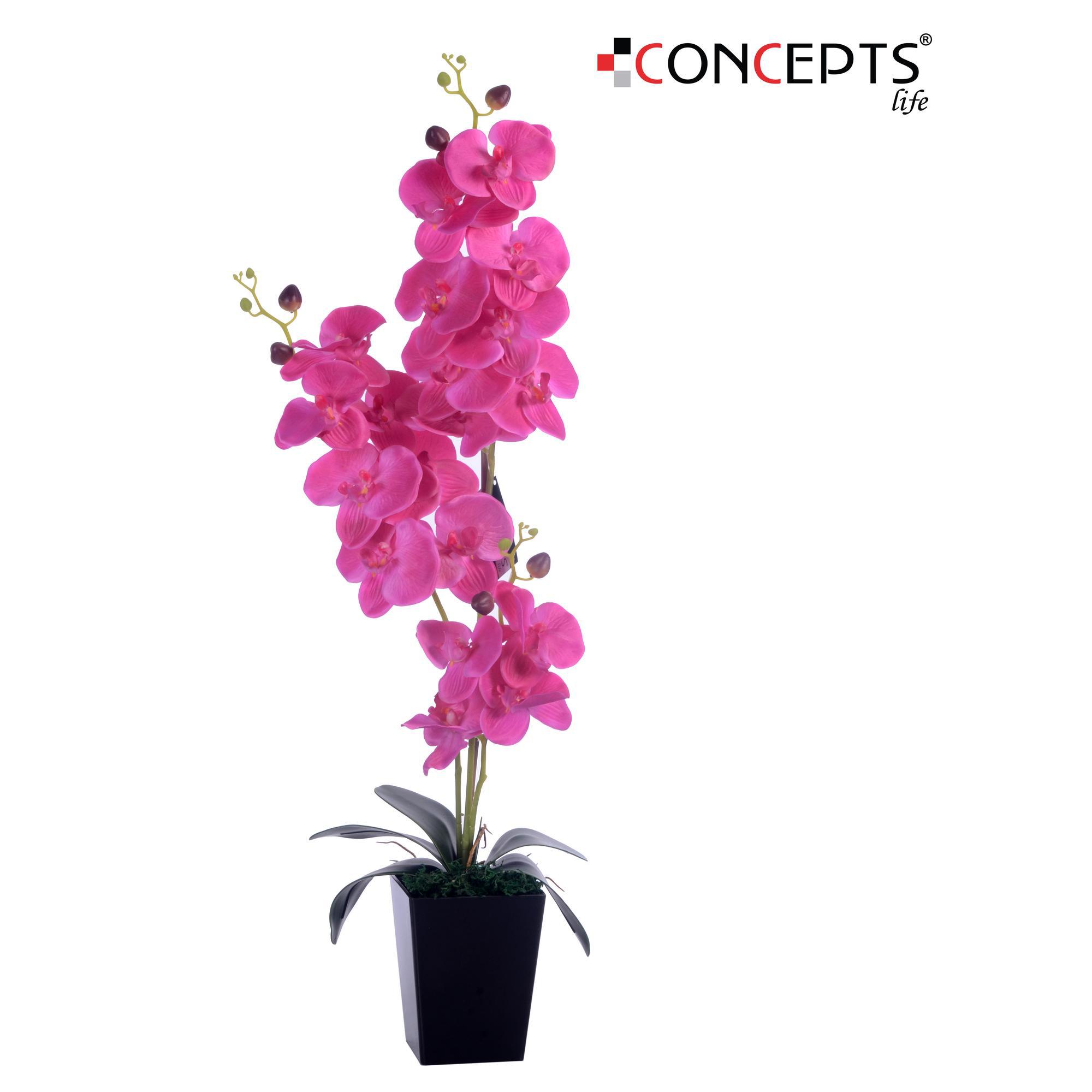 Orquidea Decorativa Rosada B/Negra 90cm