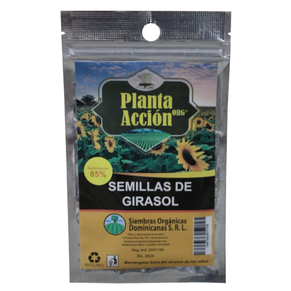 Semilla  De Girasol