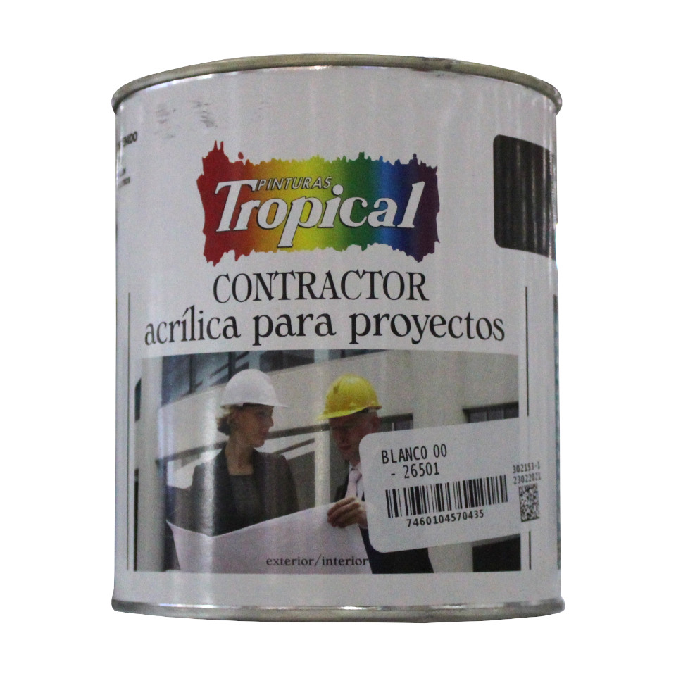 OCHOA  Removedor De Pinturas 04-08-0027