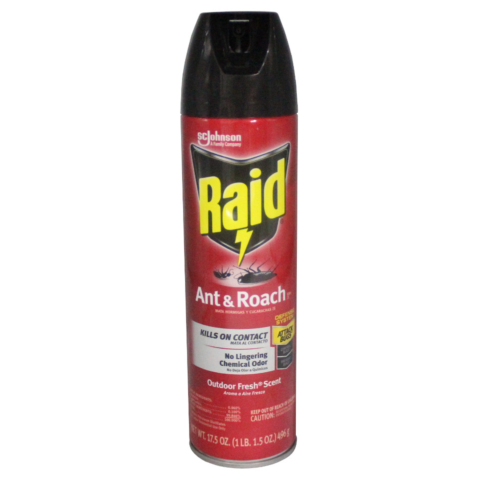 Raid Aerosol  Ant & Roach Outdoor (Rojo)