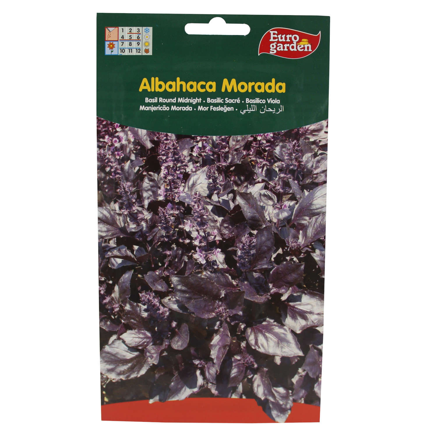 Semilla  Albahaca Morada