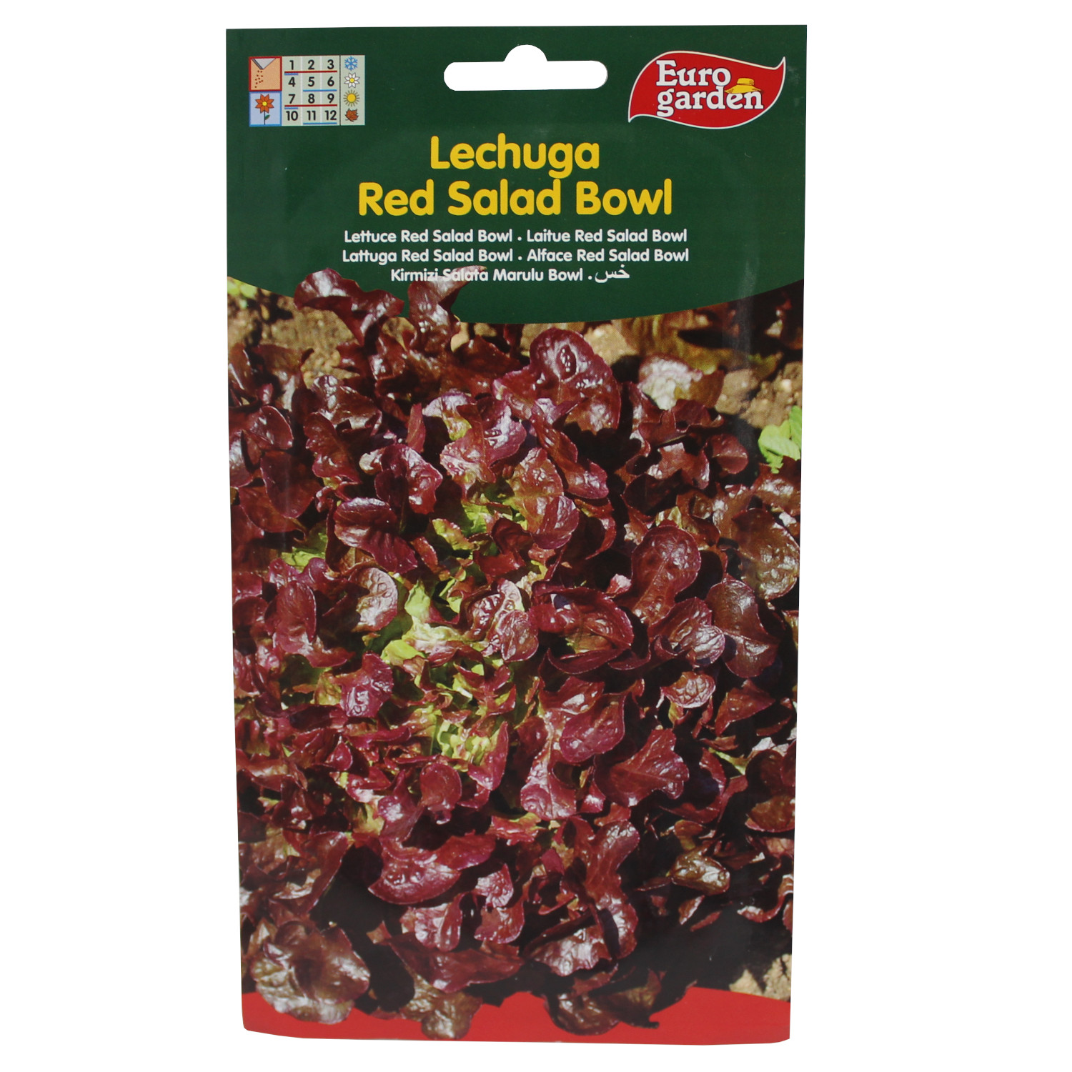 Semilla Lechuga Red Salad Bowl