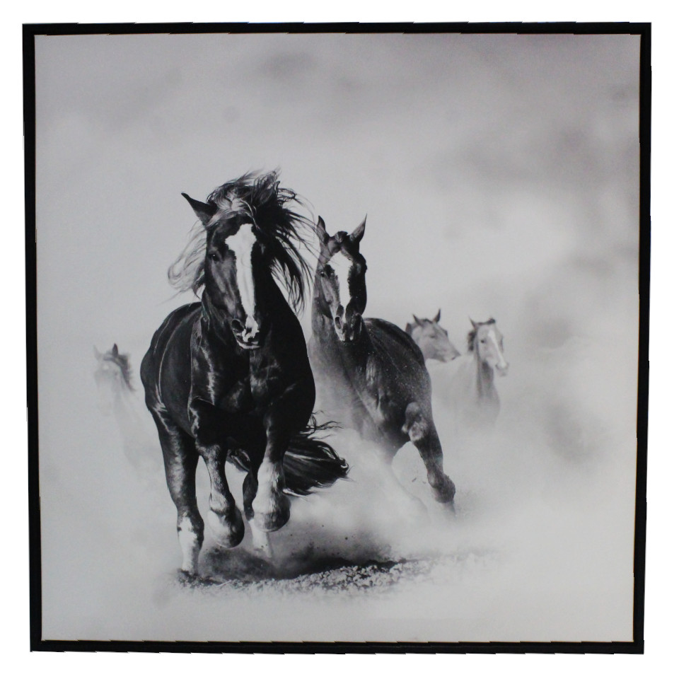 Cuadro Decorativo Caballos 82.6x82.6cm