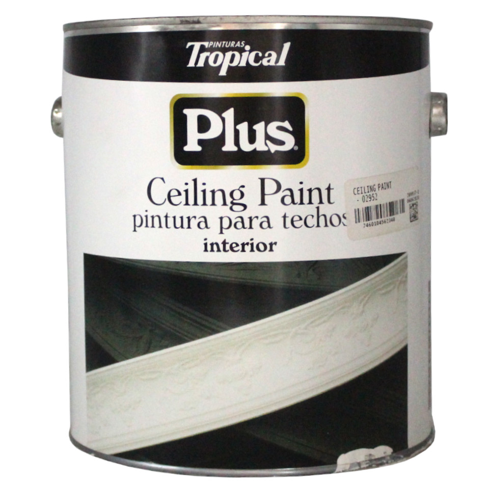 Ceiling Paint