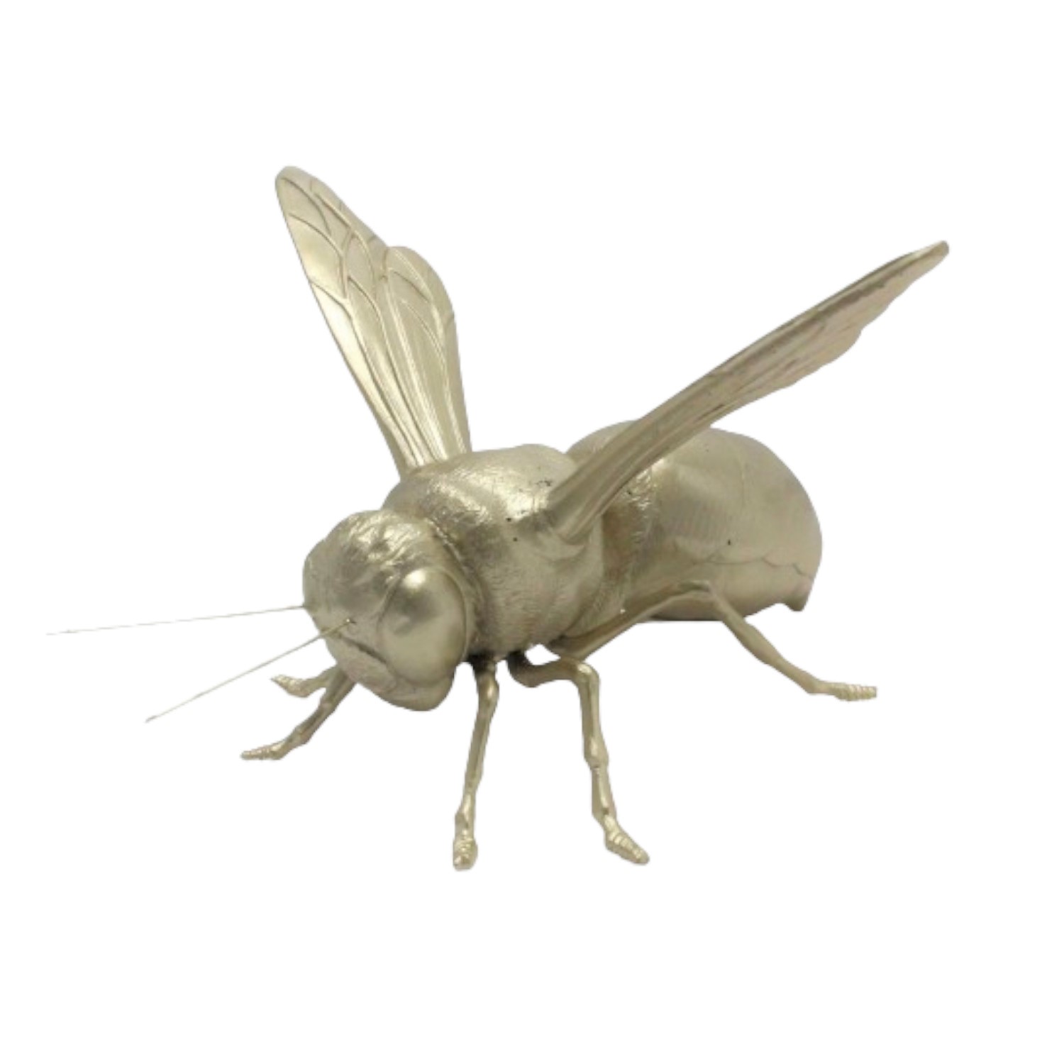 Figura Decorativa Insecto 23.5x19x12.5cm