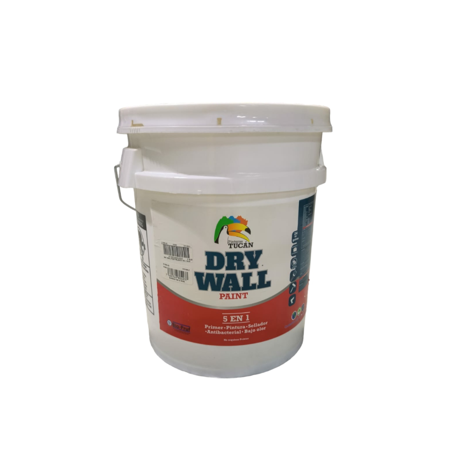 Dry Wall Paint Tucan